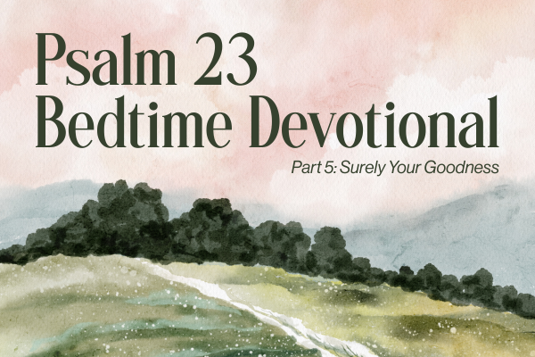 psalm 23 bedtime devotional part 5: surely your goodness