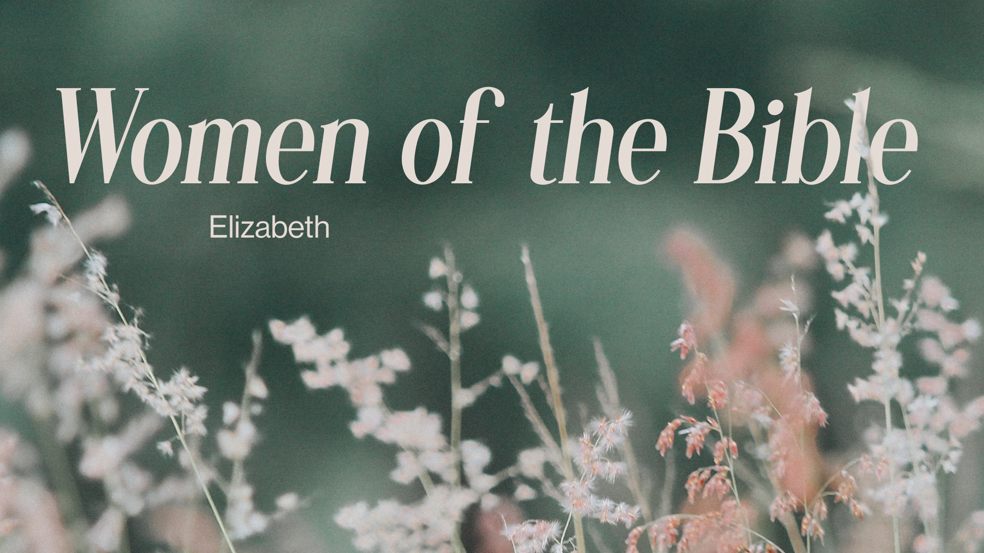 WOTB: Elizabeth Image