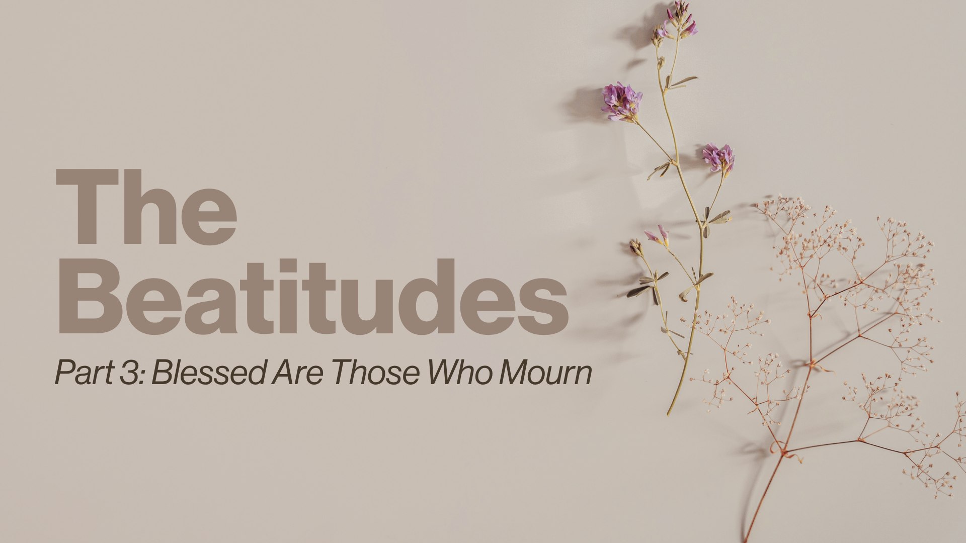 P3 Beatitudes Image