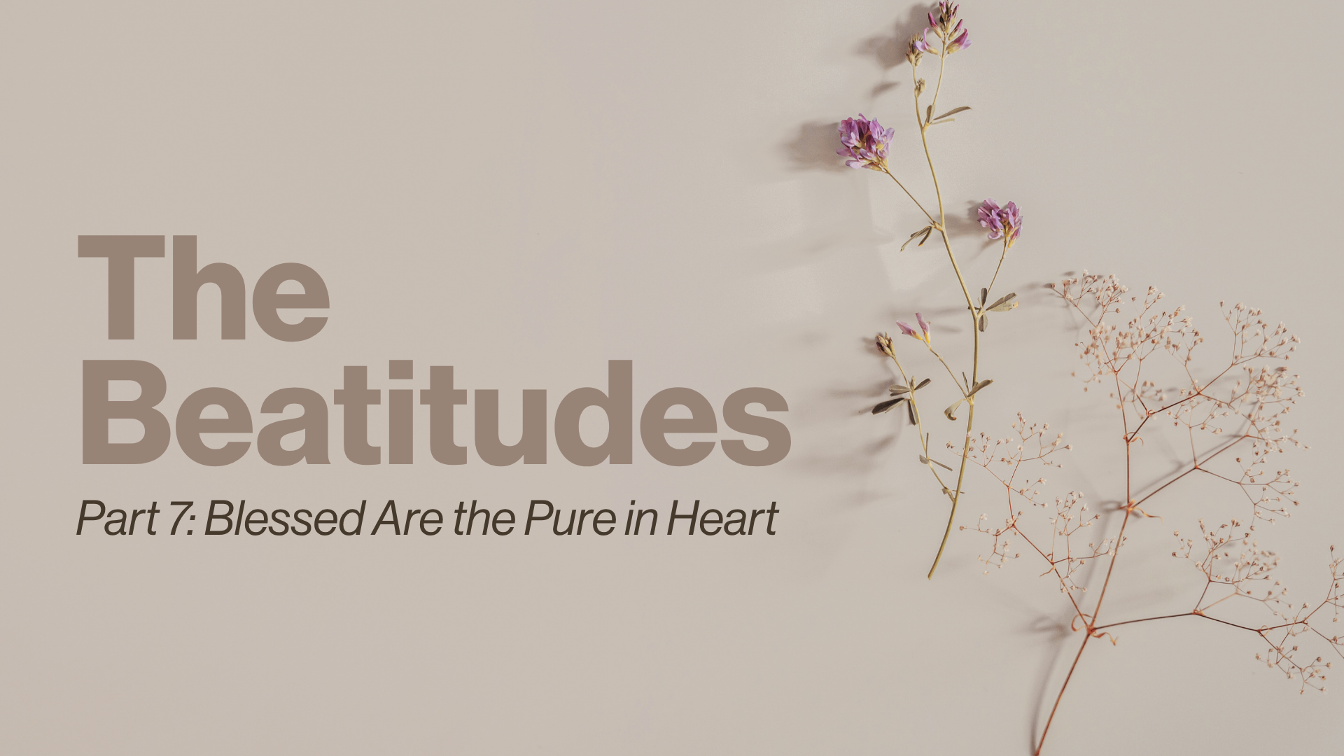 P7 Beatitudes Image