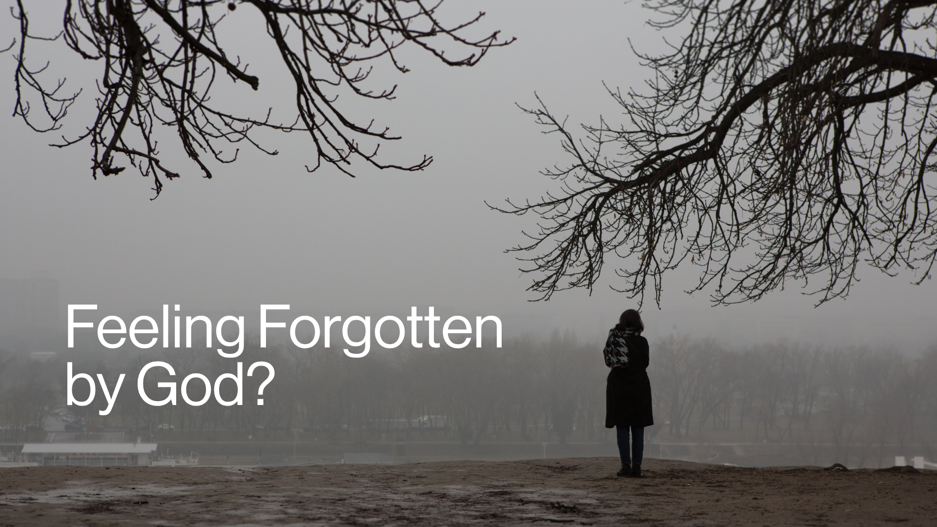 Feeling Forgotten by God? Image