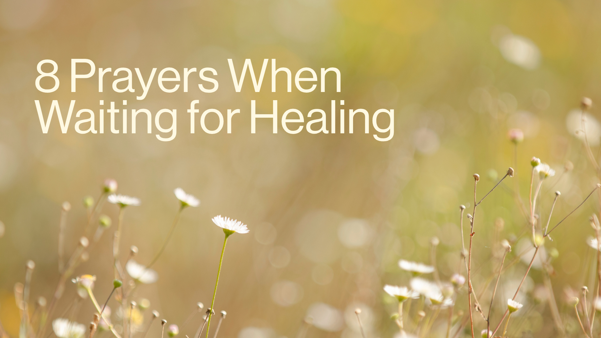 8 Prayers When Waiting for Healing Image