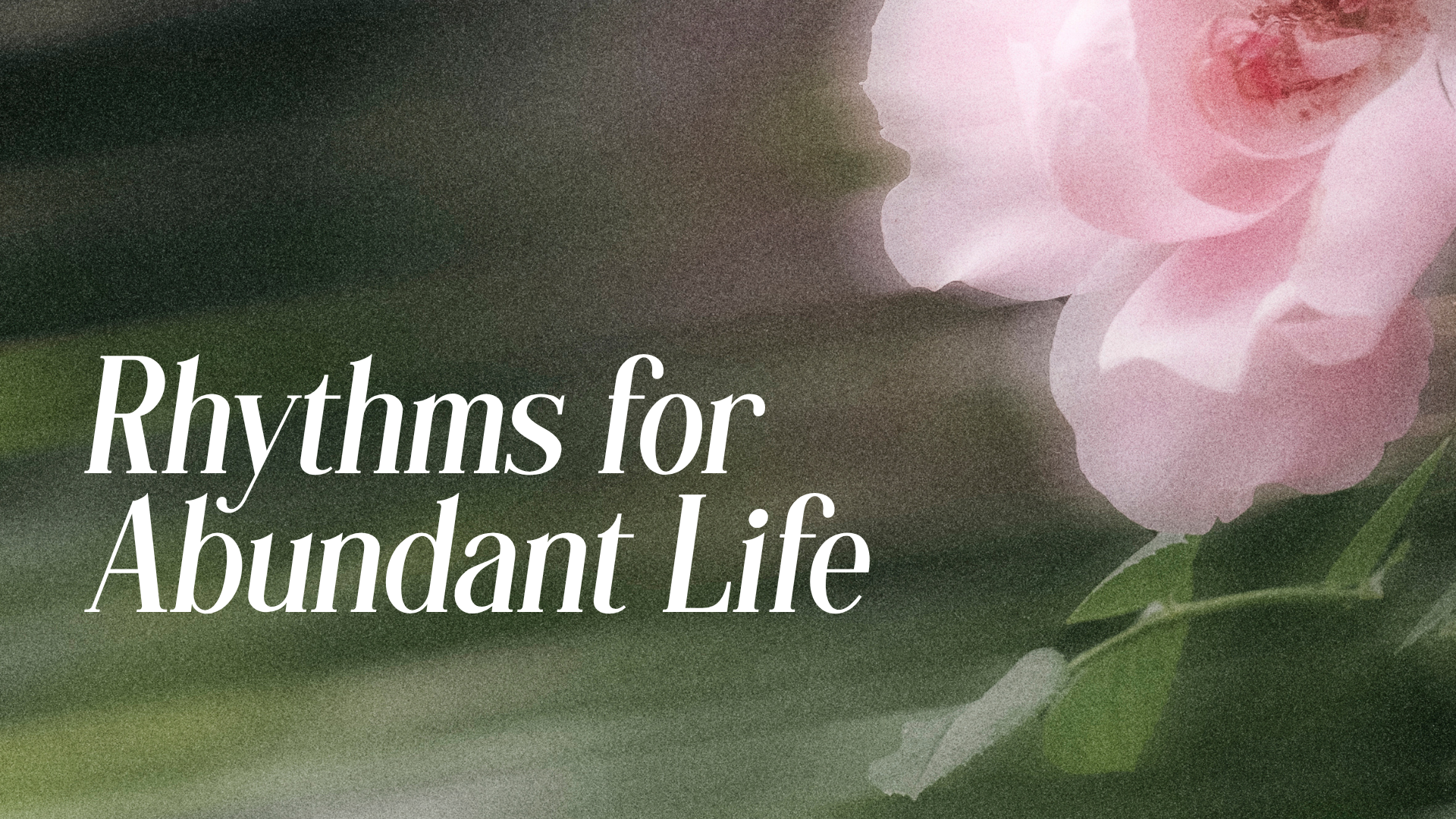 Rhythms for Abundant Life Image