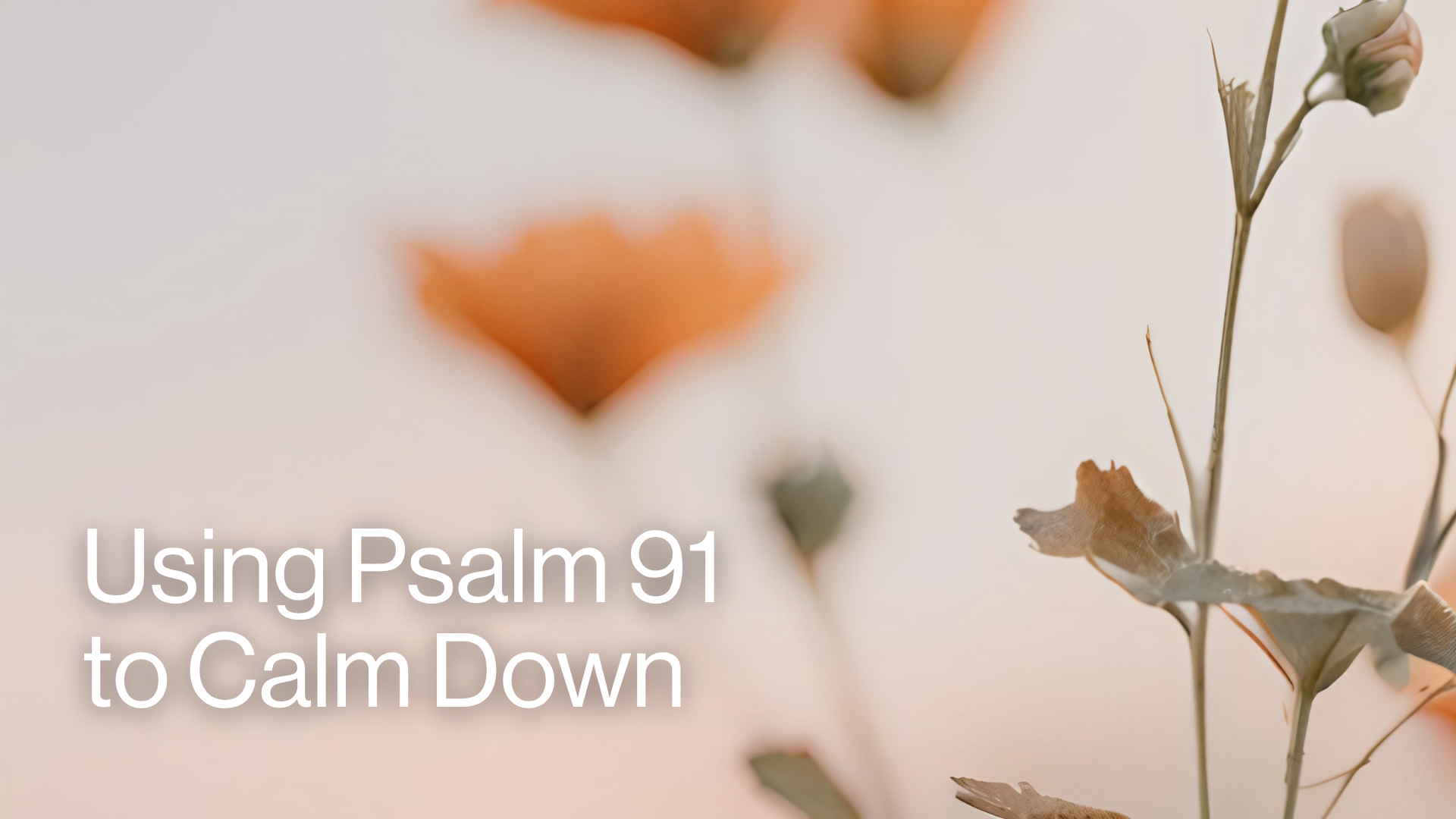 Using Psalm 91 to Calm Down Image