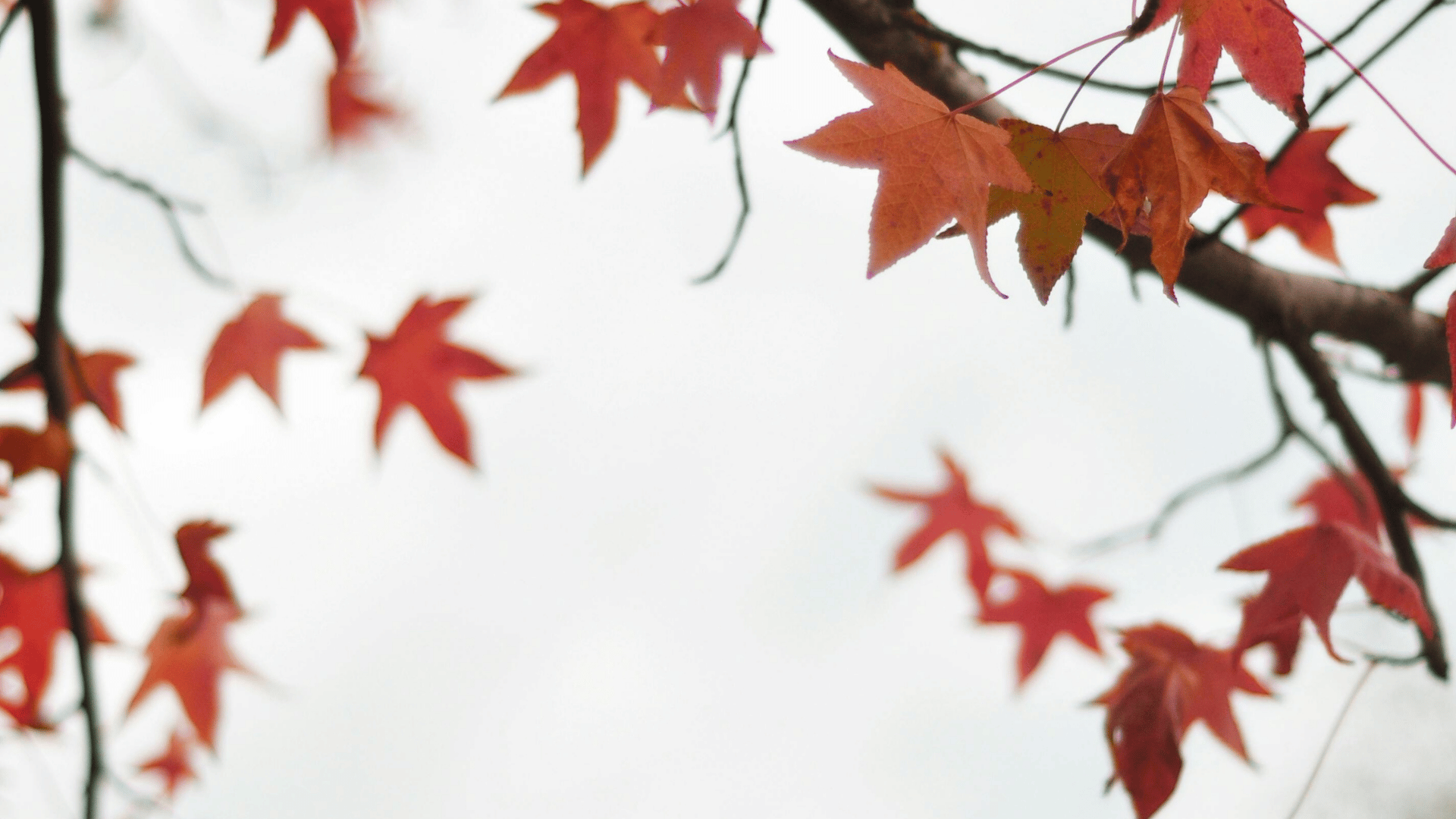 Spanish 8 Prayers for Fall Image