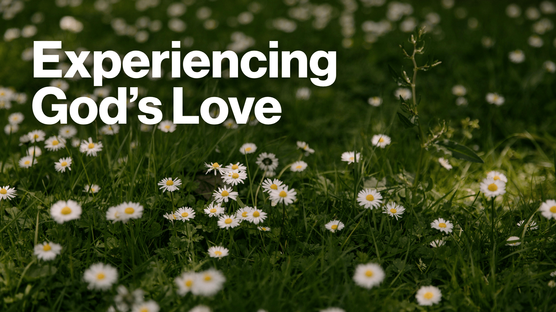 Experiencing God's Love Image