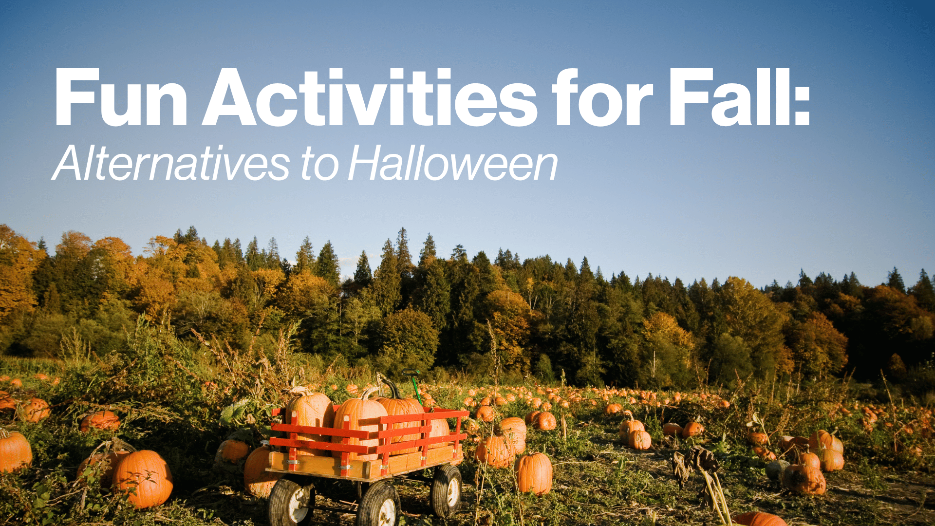 Fun Activities for Fall: Alternatives to Halloween | Positive ...
