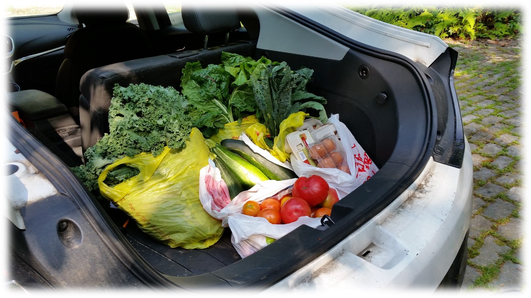 Trunk filled with garden veggies