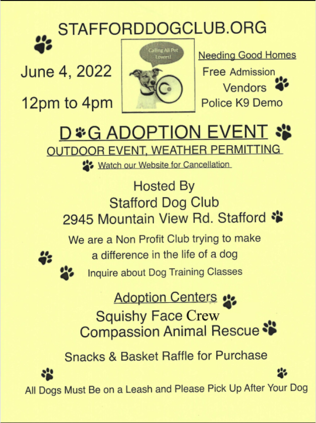 Dog Adoption Day 