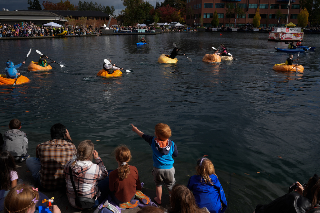 A child points to people racing giant pumpkins during the West Coast Giant Pumpkin Regatta