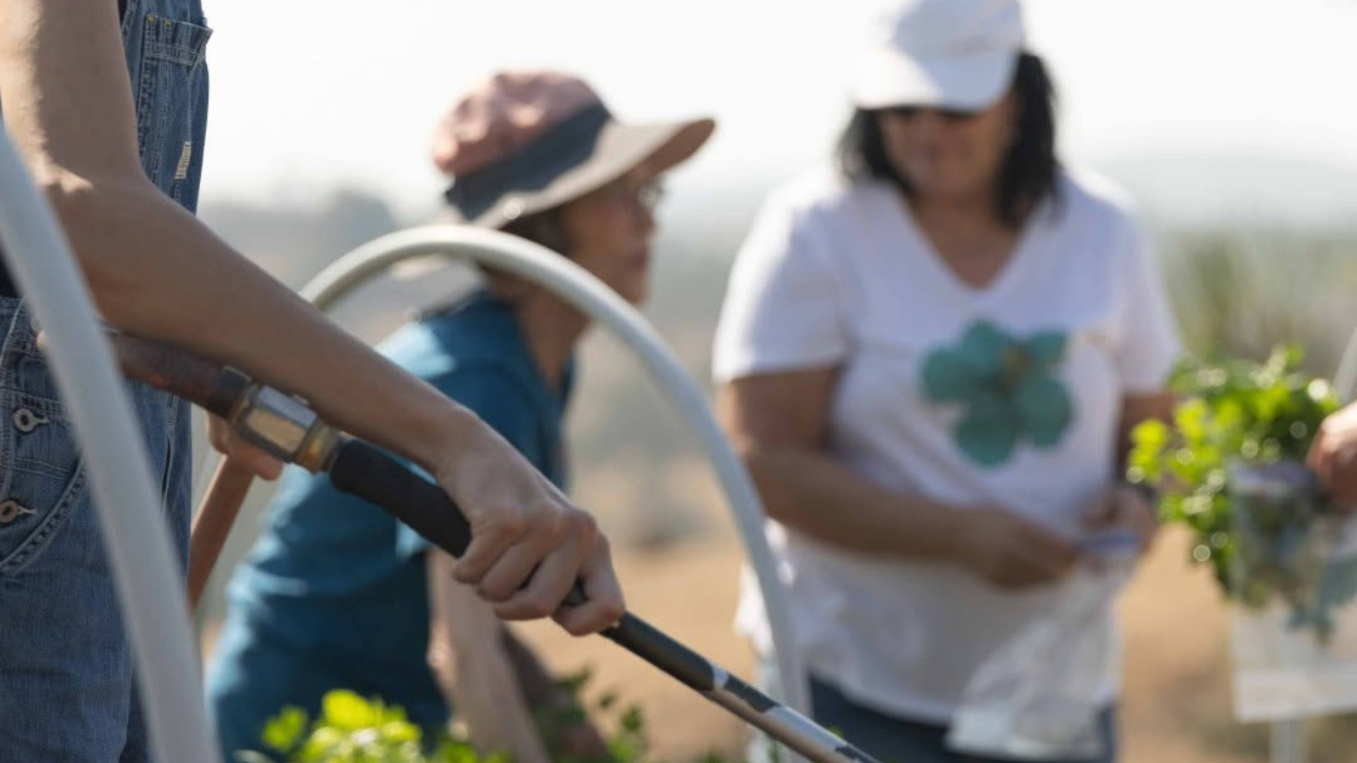 With the Incarnation in mind, McClenehan says, ordinary practices like cultivating a community garden can become places of formation and healing.