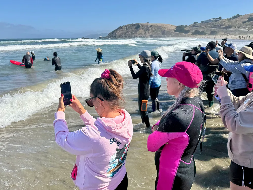 Spectators watch the surfing dogs during the World Dog Surfing Championships in Pacifica, Calif.