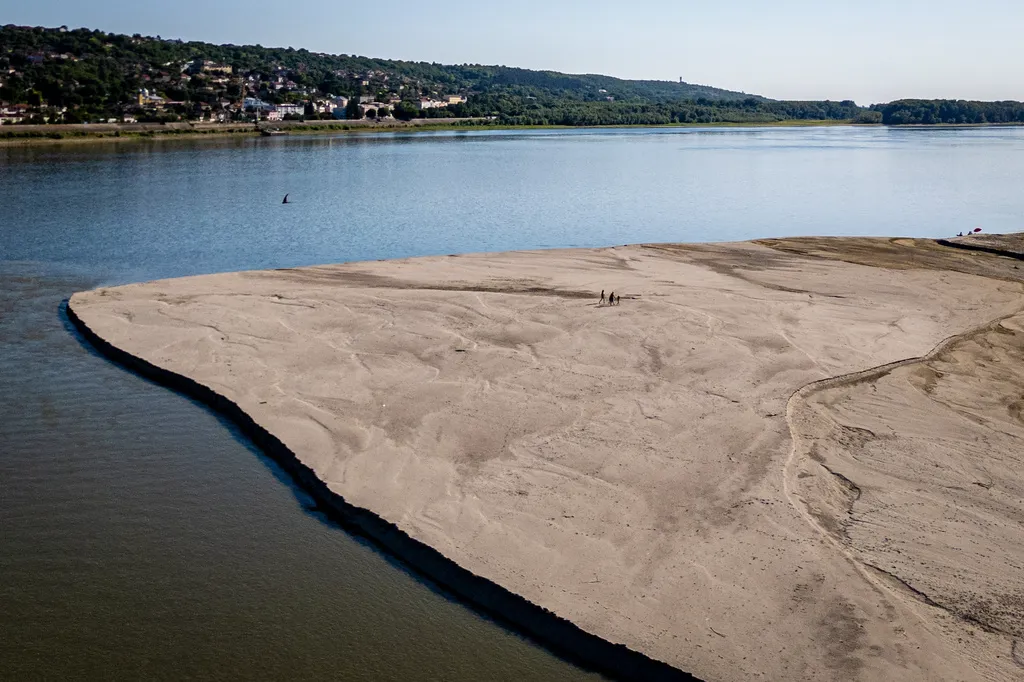 Danube Shrinks As Wildfires, Record Heat Plague Europe, Concerns About Power