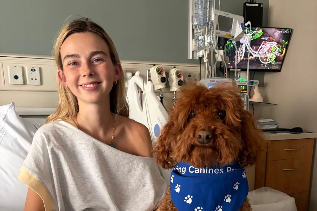 Sydney Towle, Social Media Influencer, Passes At 23