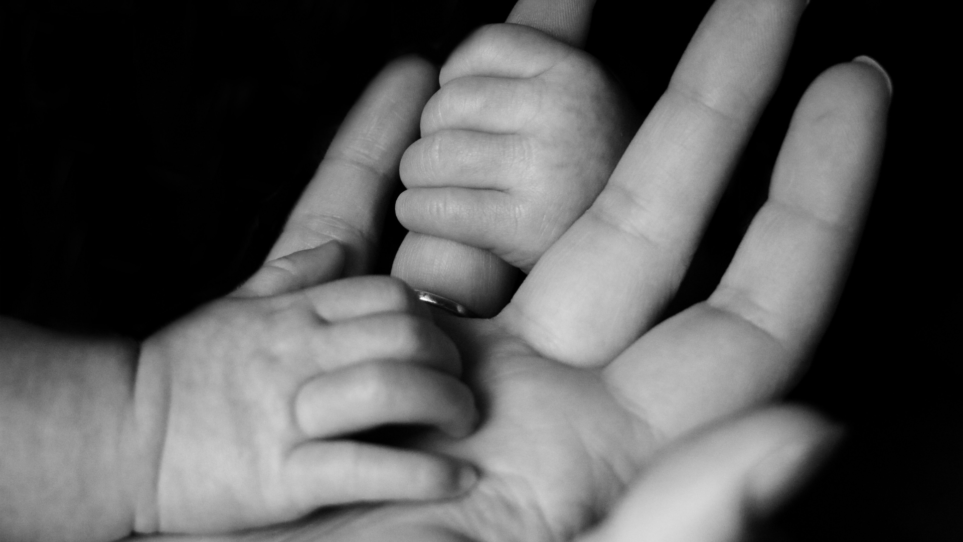 Avail exists to provide confidential, qualified, and compassionate care to those facing unintended pregnancy across the U.S.