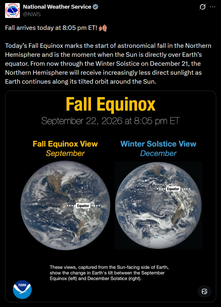 autumn graphic