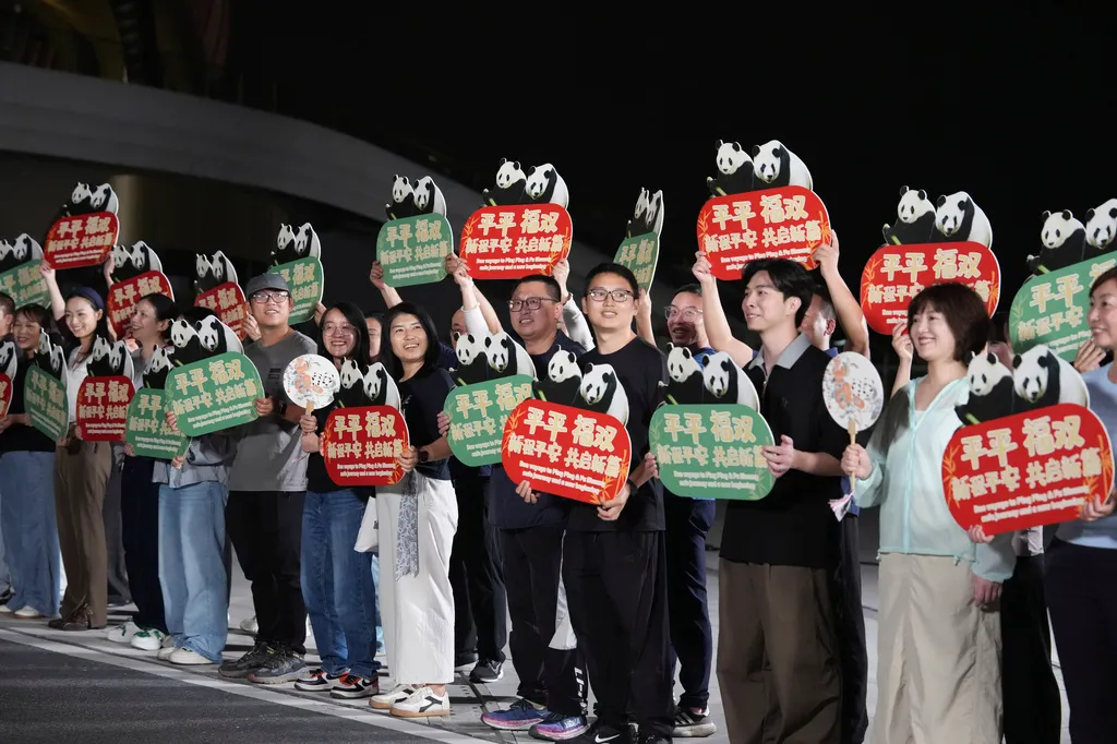 Farewell ceremony is held for giant pandas Ping Ping and Fu Shuang at Chengdu Research Base of Giant Panda Breeding in Chengdu, southwestern China
