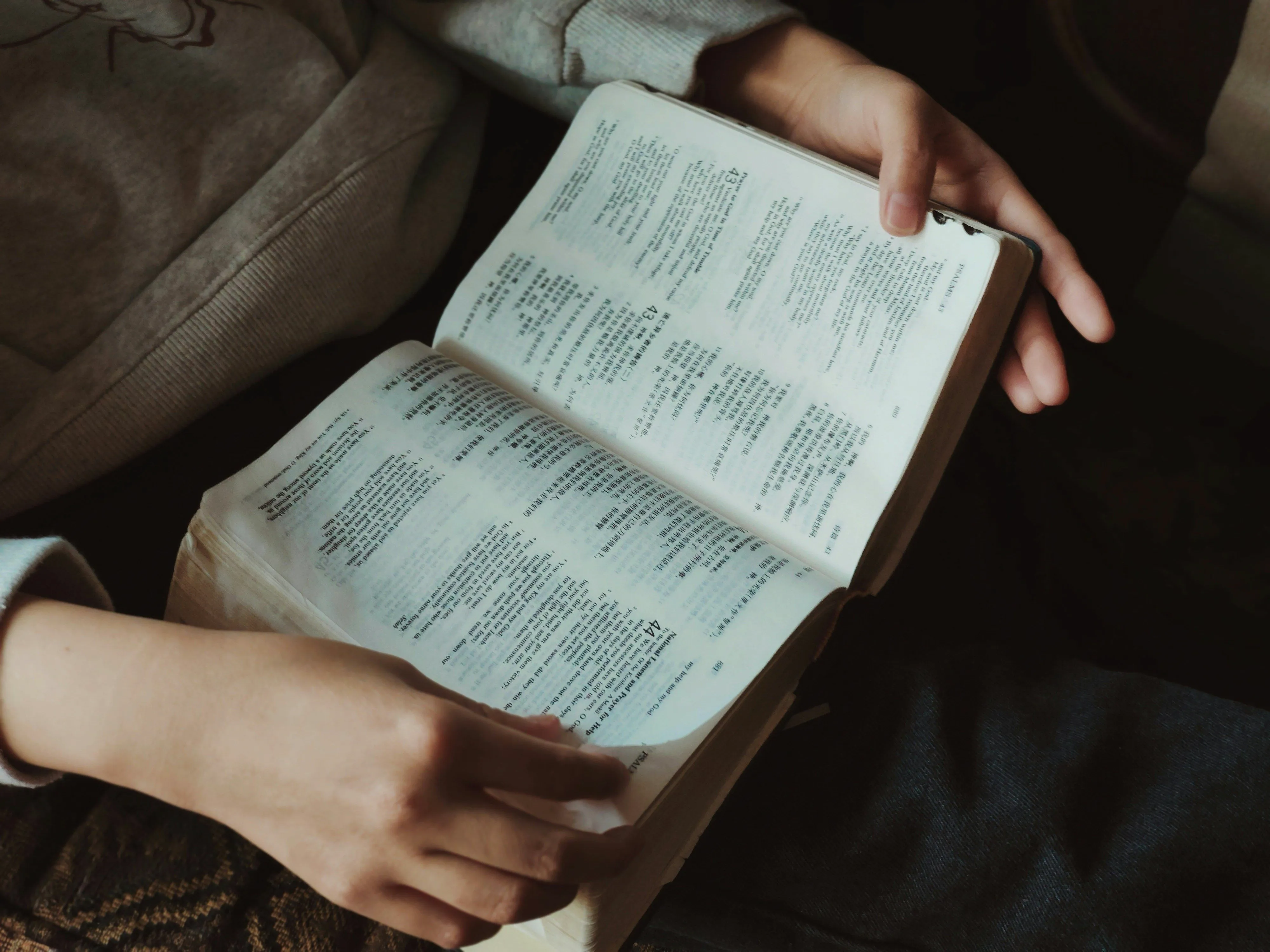 person reading Bible