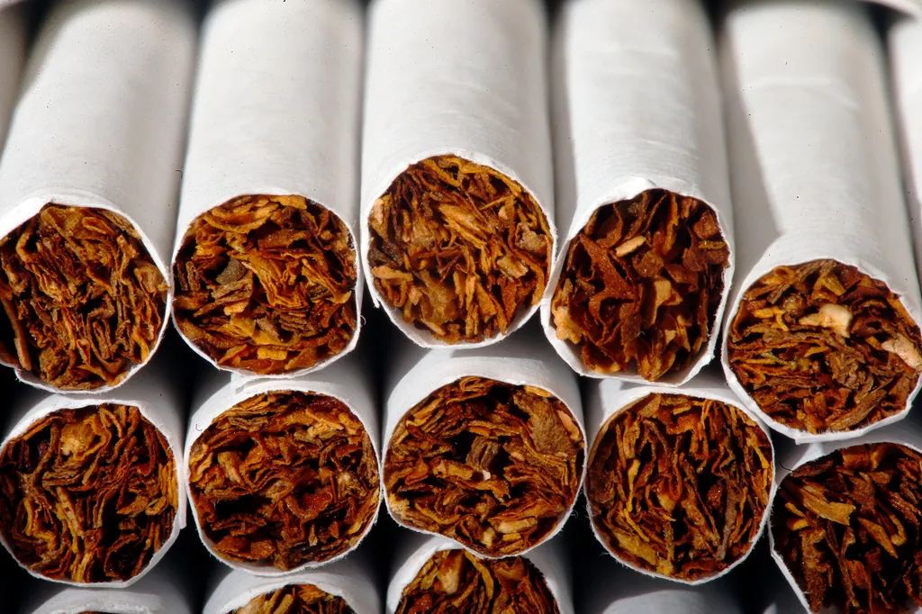 tobacco in cigarettes