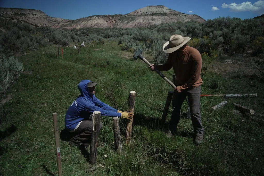 Workers build a beaver dam on Spring Creek, near Rock Springs, Wyo.