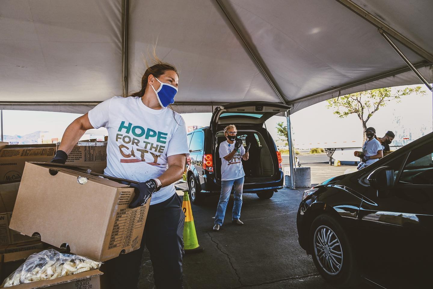 food boxes placed in car trunk