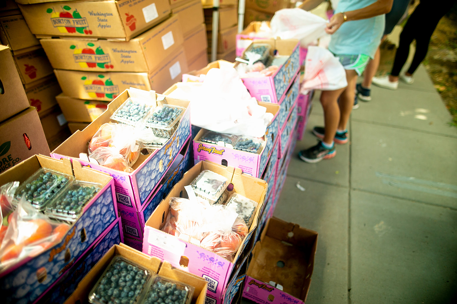 Produce farmers to families food boxes
