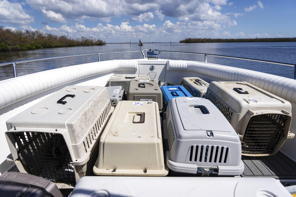 Crates of exotic and rare birds are transported by boat to the mainland off the coast of Pine Island, Fla.