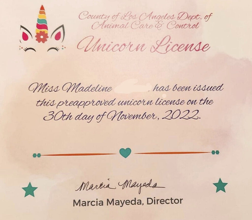 "Unicorn license," after a young girl requested permission to have a unicorn in her backyard, if she could find one. Animal Care and Control Department officials said this week that they granted the unusual permit to Madeline, whose last name was redacted