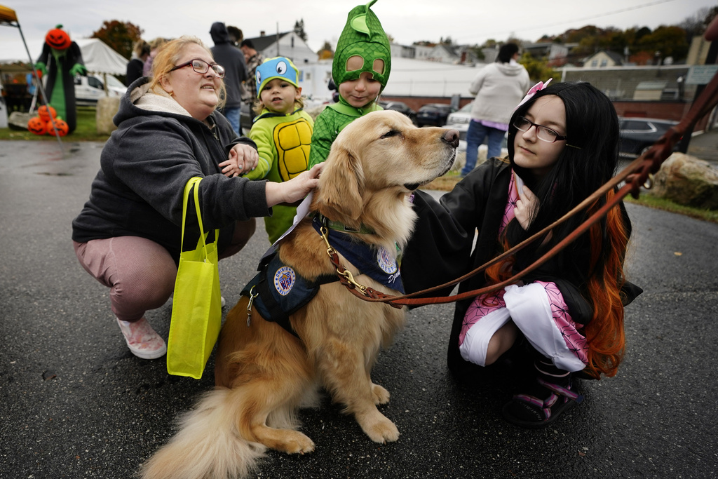 Django, a crisis response dog, enjoys the adoration while helping to bring healing to visitors 