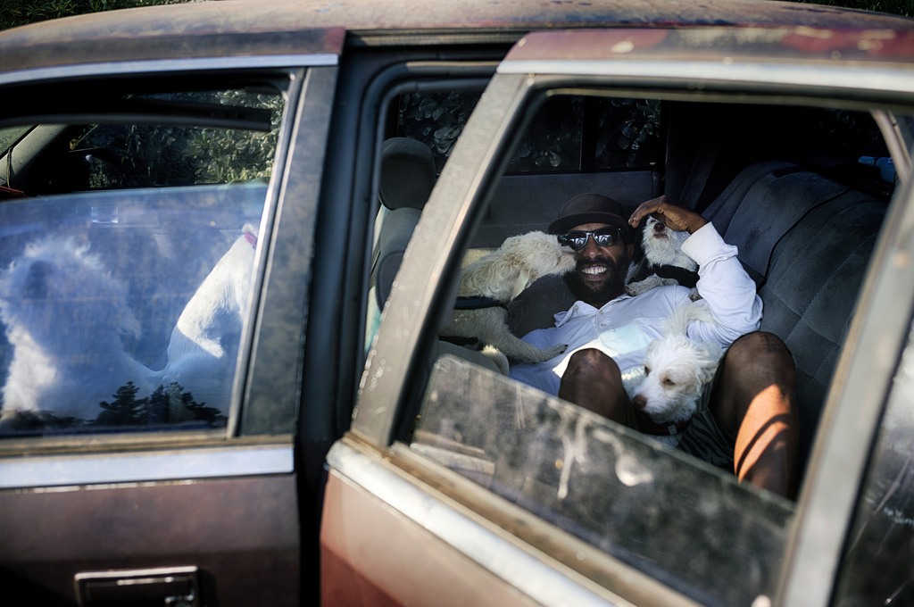 David Clarke who is homelessness and living in his car with his 6 dogs, takes to the shade at the Sepulveda Basin dog park in Los Angeles