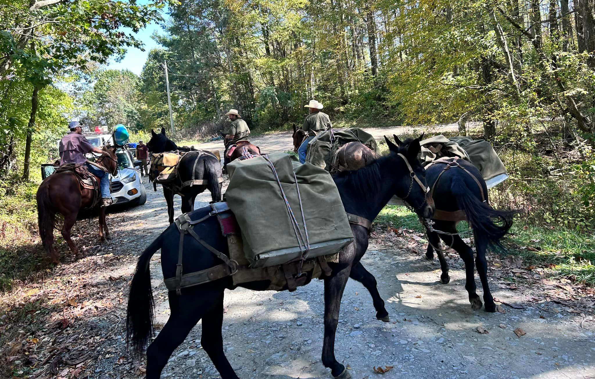 Mule team loaded with supplies