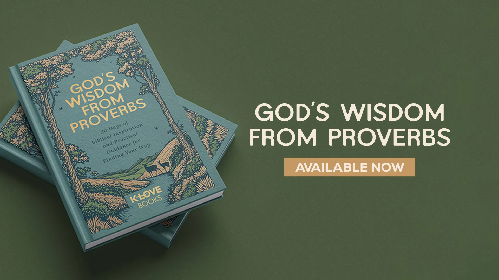 God's Wisdom From Proverbs - Available Now